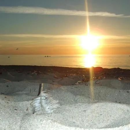 公寓 Stilvolle Mit Garten In Rerik, Cleaning Included *