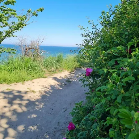 Stilvolle Mit Garten In Rerik, Cleaning Included 公寓 奥斯特巴德里克